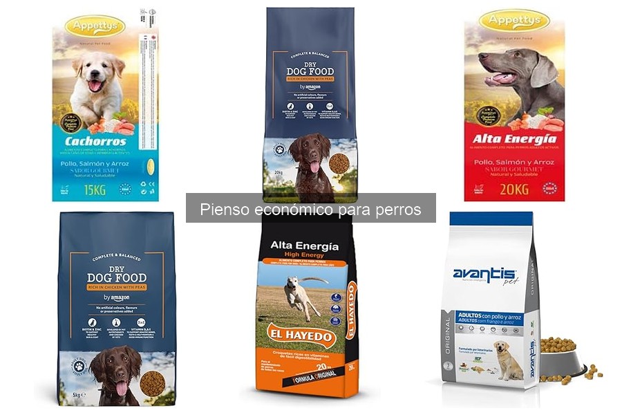 Pienso Económico para Perros: Características y Beneficios
