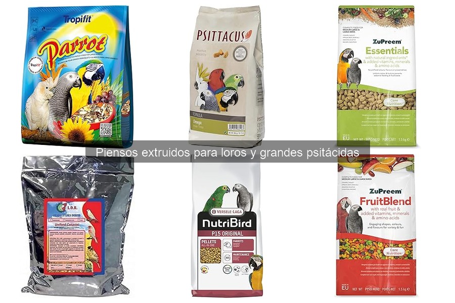 Piensos Extruidos para Loros: ¿Qué Son y Sus Beneficios?
