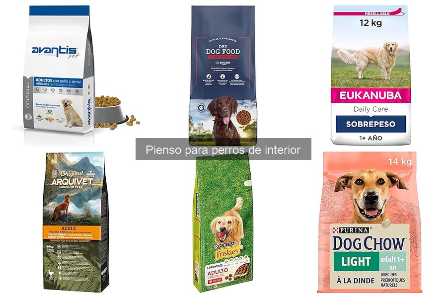 Piensos para perros de interior según la edad: guía de compra