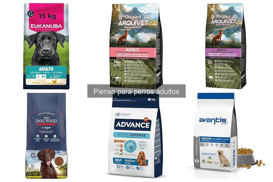 Piensos recomendados por veterinarios para perros adultos
