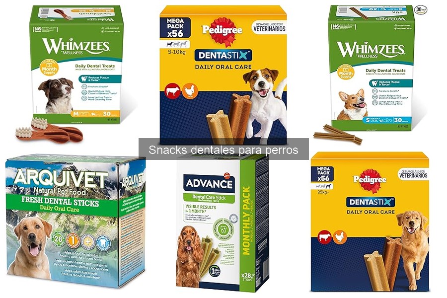 ¿Por qué algunos perros no disfrutan de los snacks dentales?