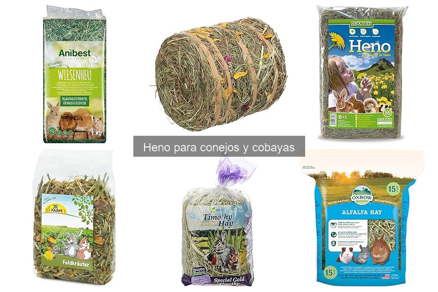 ¿Por qué el heno es esencial para conejos y cobayas?