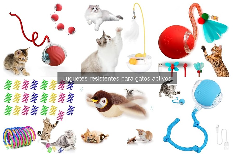 ¿Por qué mi gato no juega con su juguete nuevo? Soluciones