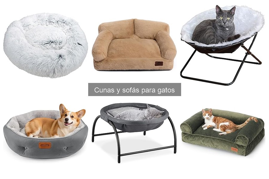 ** ¿Por qué mi gato no usa su cuna? Soluciones efectivas