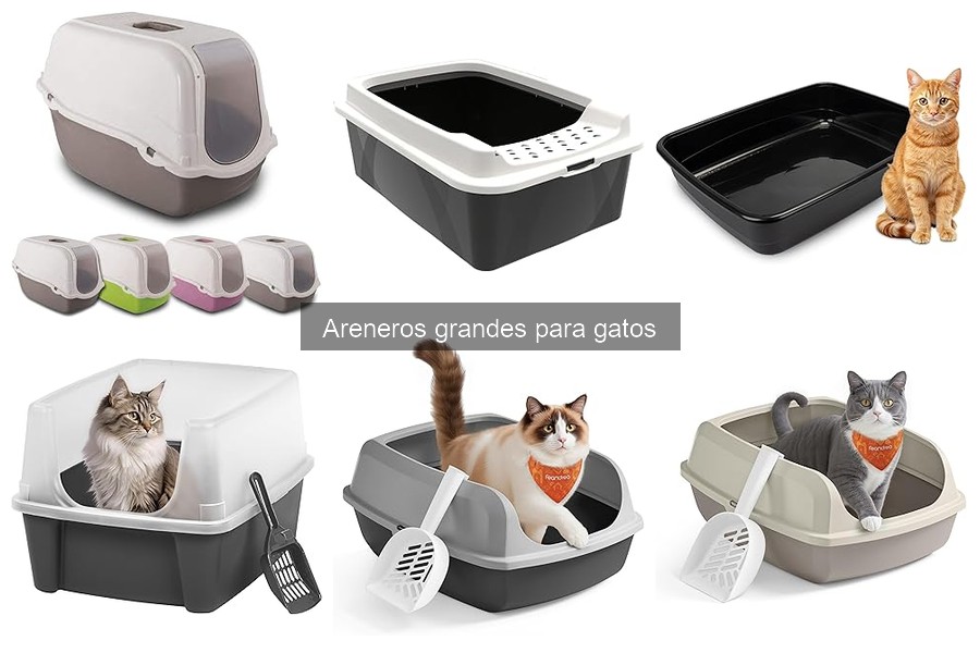 ¿Por qué mi gato prefiere un arenero grande?