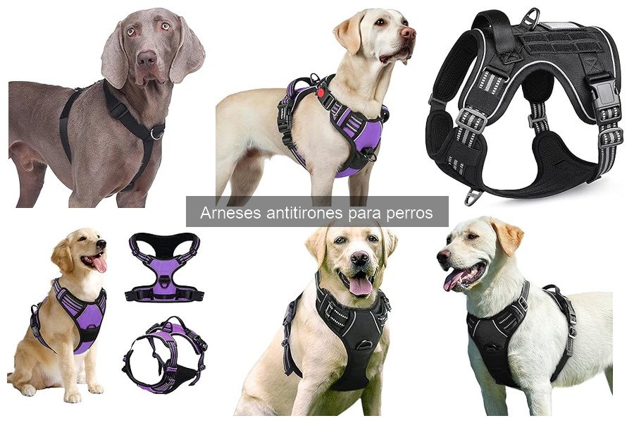 Precio de arneses antitirones para perros: guía de compra