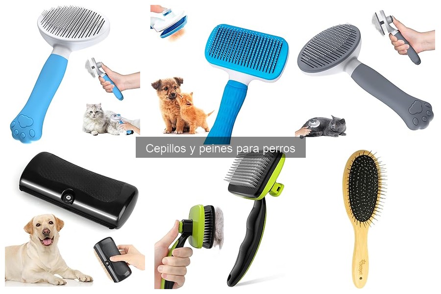 Precio de cepillos y peines para perros: guía de costos