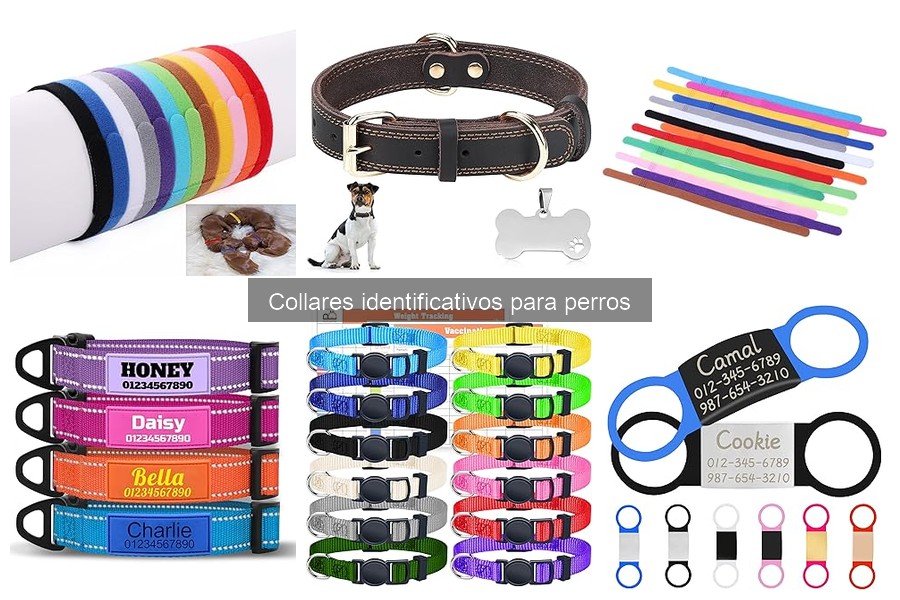 Precio de Collares Identificativos para Perros: Guía 2023