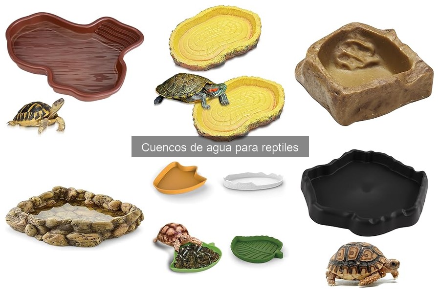 Precio de cuencos de agua para reptiles y dónde comprarlos
