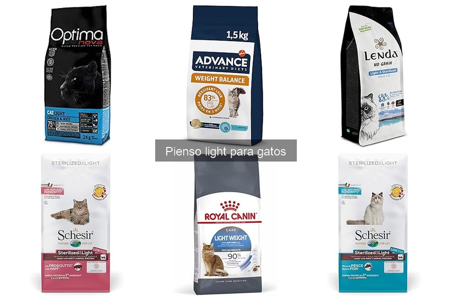 Precio del pienso light para gatos: ofertas y dónde comprar