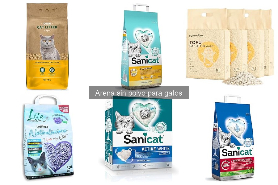 Precio promedio de arena sin polvo para gatos en 2023