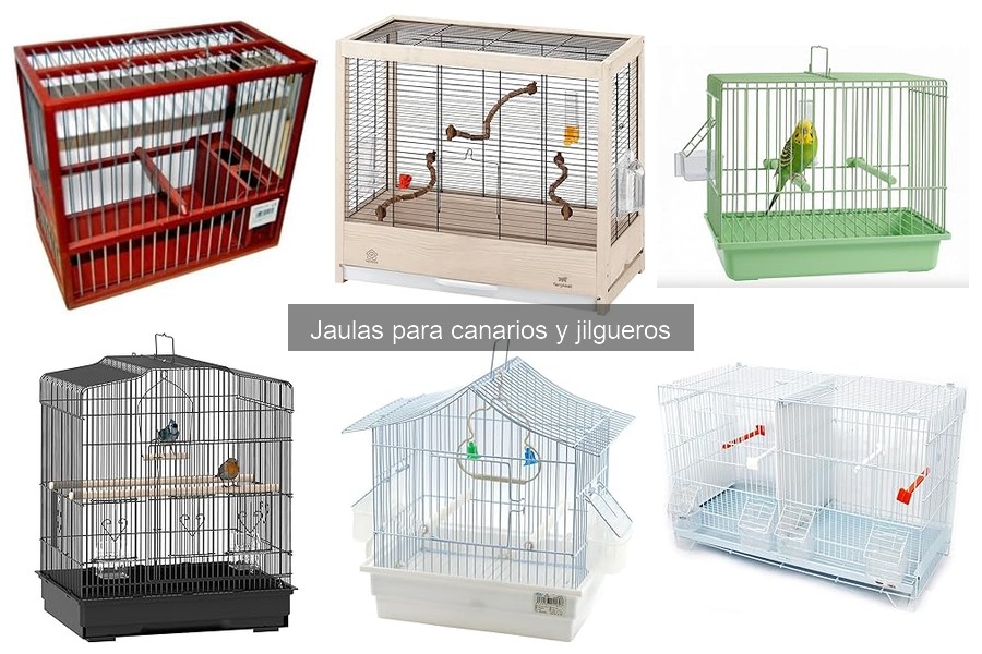 Precio promedio de jaulas para canarios: guía y recomendaciones
