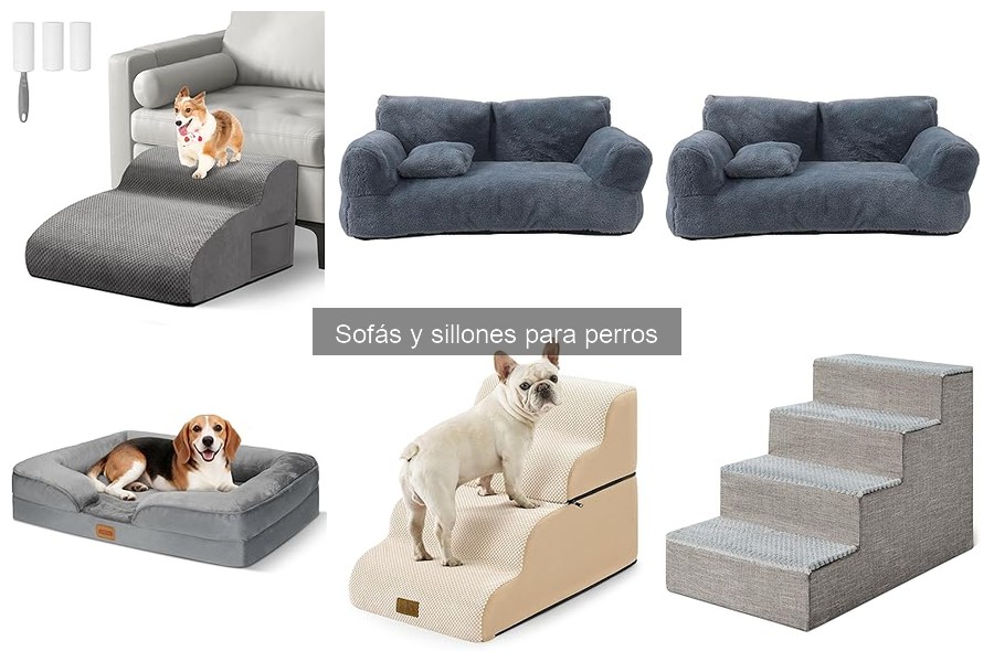 ** Precio promedio de sofás y sillones para perros