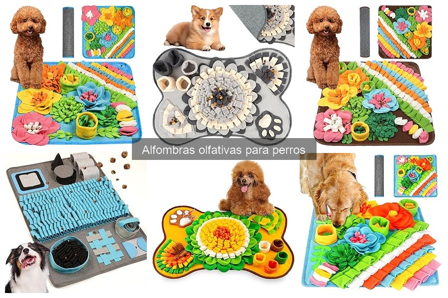 Precios de alfombras olfativas para perros y dónde comprarlas