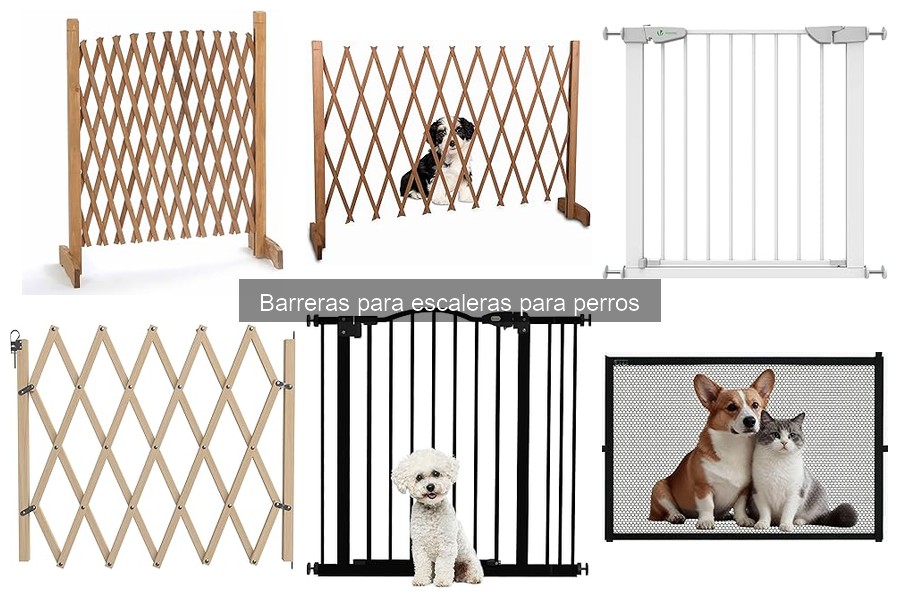 Precios de barreras para escaleras para perros: todo lo que necesitas