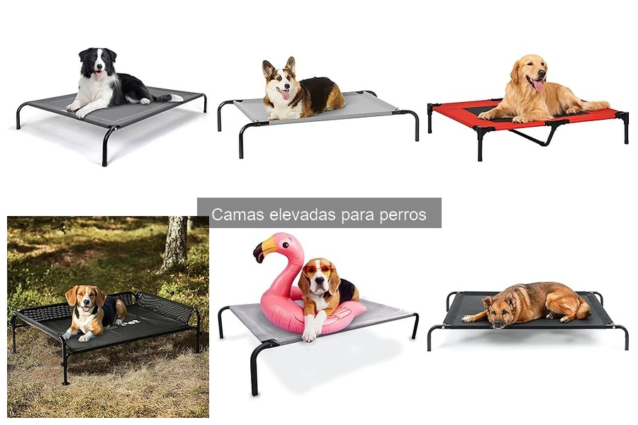 Precios de Camas Elevadas para Perros: Guía Completa