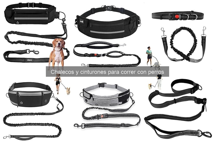 Precios de Chalecos y Cinturones para Correr con Perros