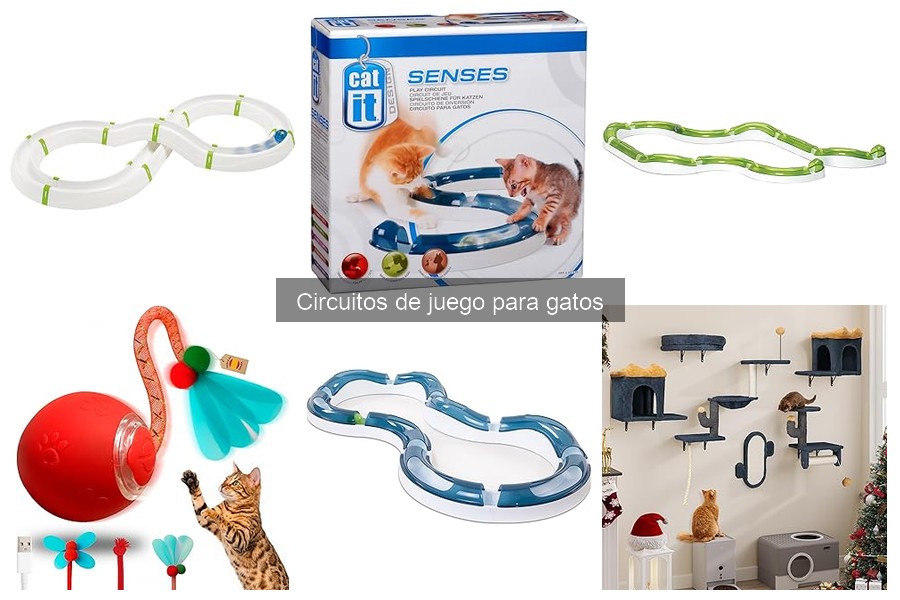 Precios de Circuitos de Juego para Gatos: Guía Completa