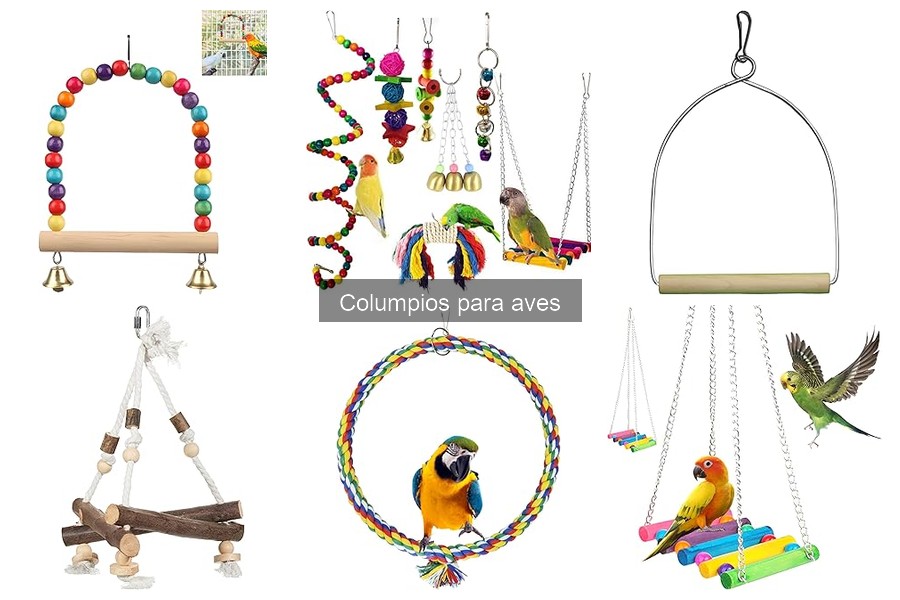 Precios de Columpios para Aves y Dónde Comprar