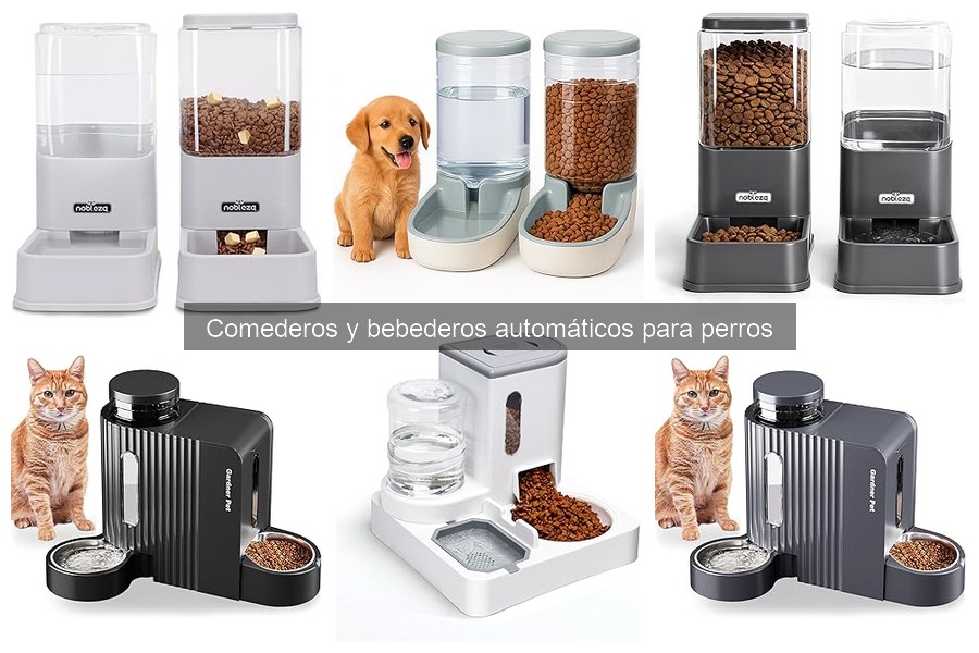 Precios de comederos automáticos para perros: guía completa