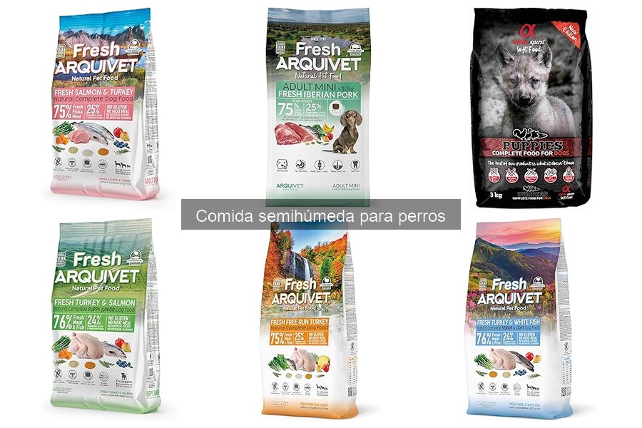Precios de comida semihúmeda para perros en Amazon