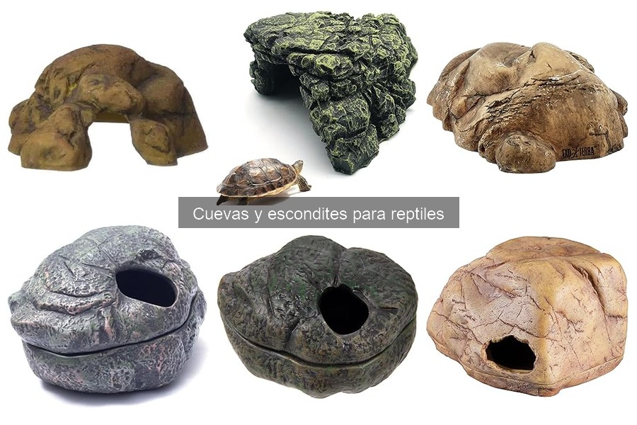 Precios de Cuevas y Escondites para Reptiles | Guía 2023