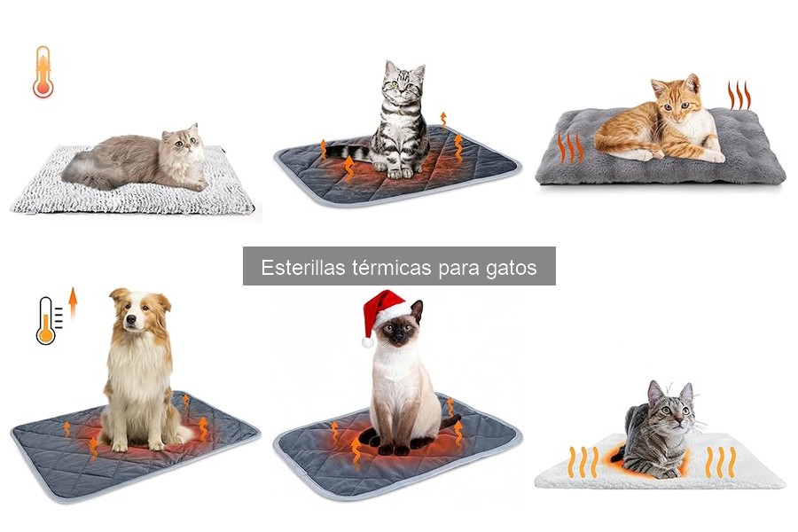 Precios de Esterillas Térmicas para Gatos y Dónde Comprar