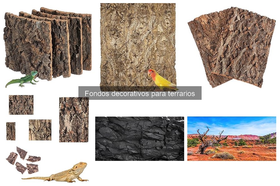 Precios de fondos decorativos para terrarios: ¡mejores ofertas!