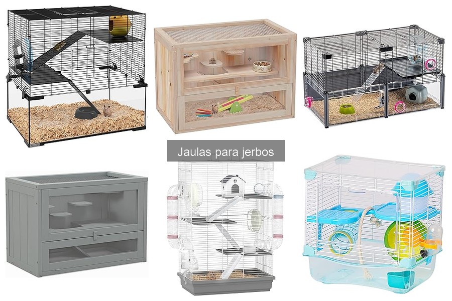 Precios de jaulas para jerbos: guía completa y actualizada