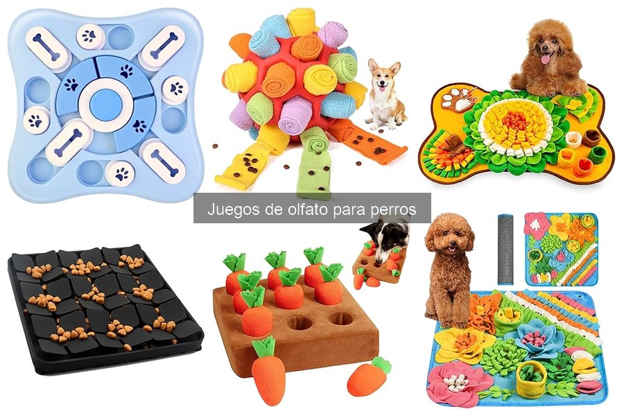 Precios de juegos de olfato para perros: guía de compra