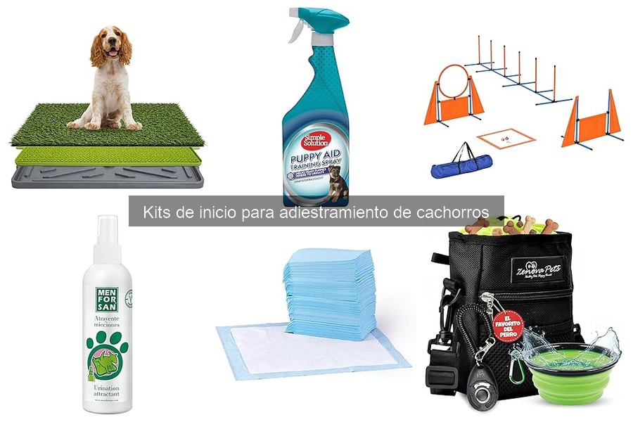 Precios de Kits de Adiestramiento de Cachorros: Mejores Ofertas