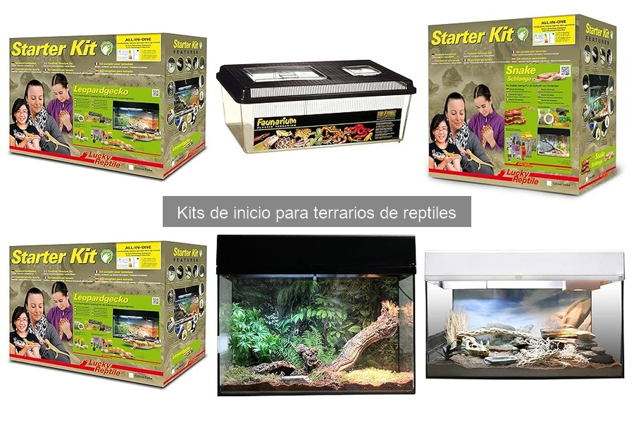 Precios de Kits de Inicio para Terrarios de Reptiles