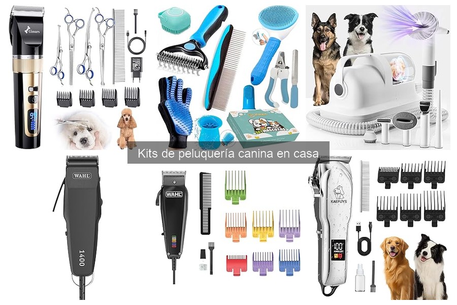 Precios de Kits de Peluquería Canina y Dónde Comprarlos
