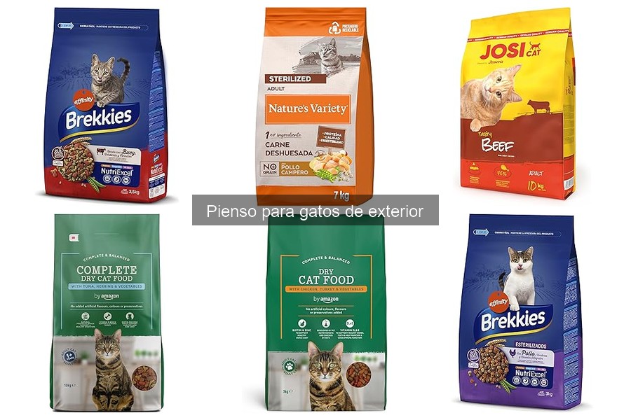 Precios de pienso para gatos de exterior en distintas tiendas