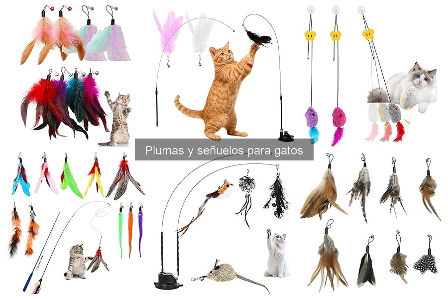 Precios de señuelos y plumas para gatos: guía rápida