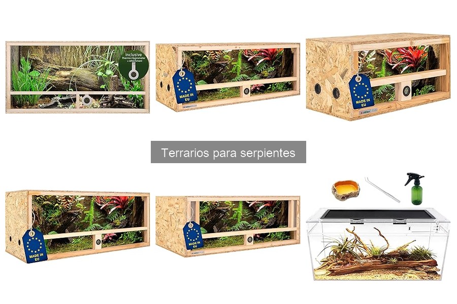 Precios de Terrarios para Serpientes: Análisis y Presupuestos
