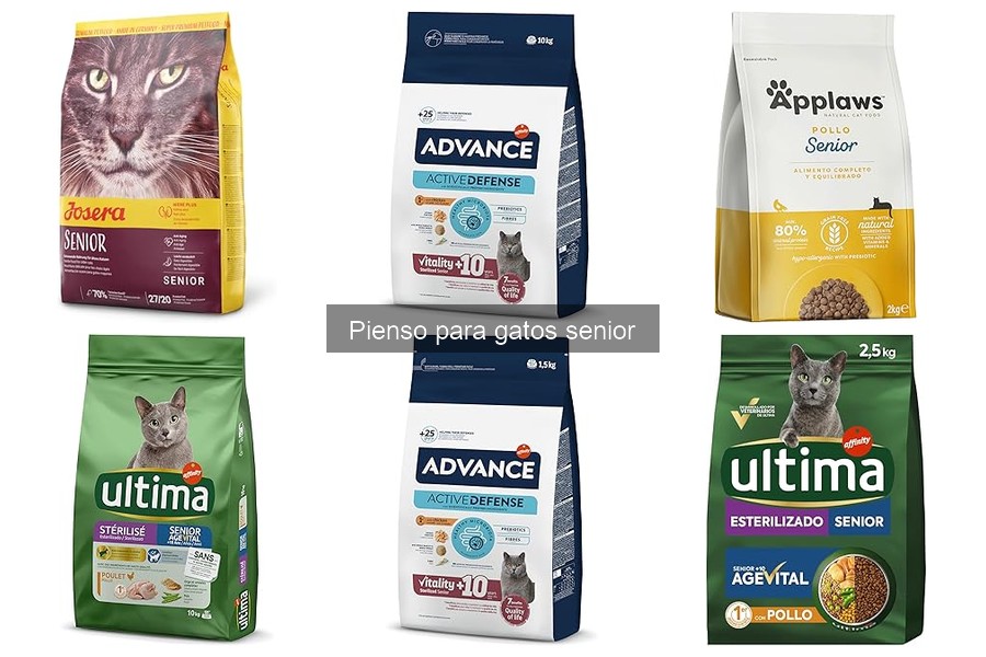 Precios del pienso para gatos senior: ¿Qué opciones hay?