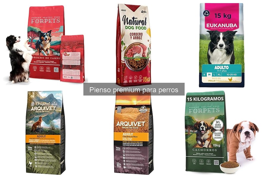 Precios del pienso premium para perros: Guía actualizada
