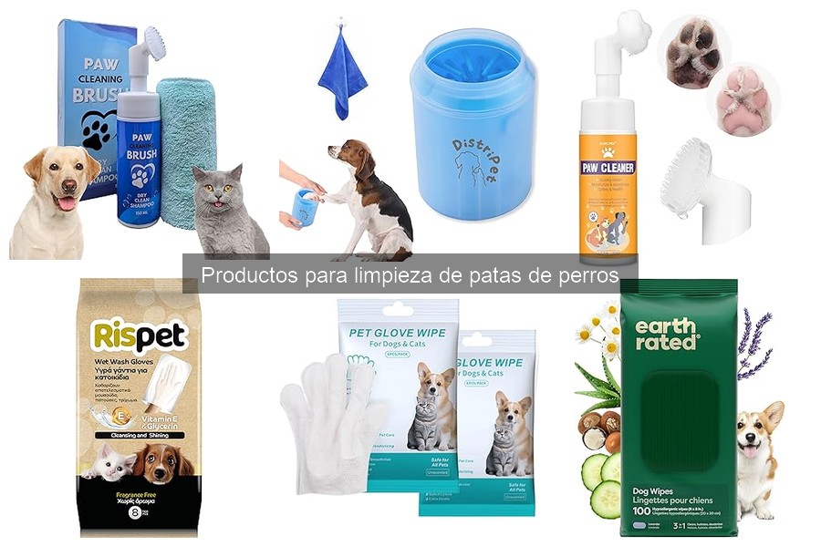 Precios promedio de limpiapatas para perros: ¿Cuánto cuestan?