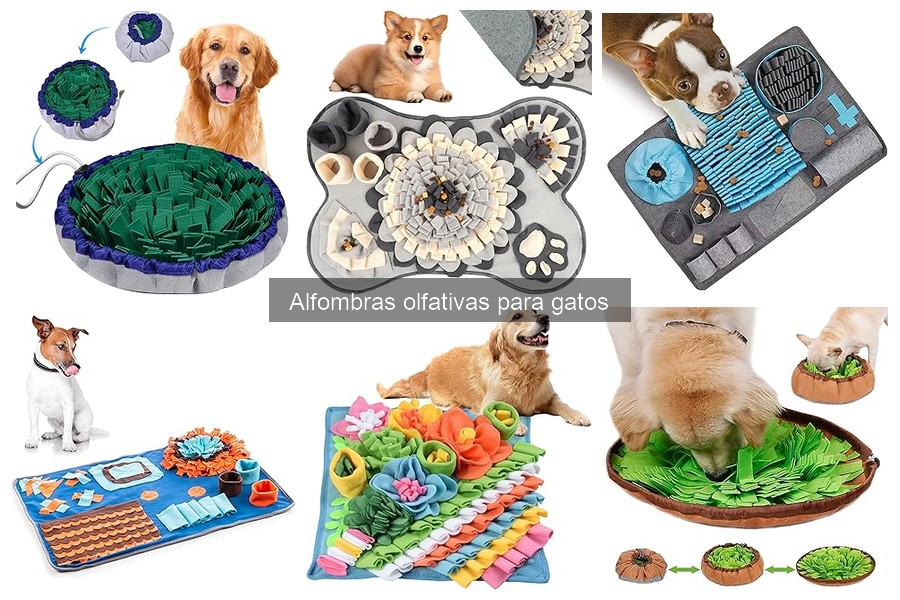 Precios y dónde comprar alfombras olfativas para gatos