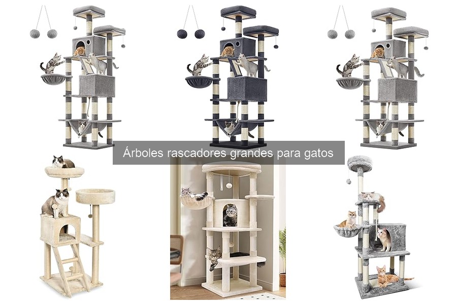 Precios y Dónde Comprar Árboles Rascadores Grandes para Gatos