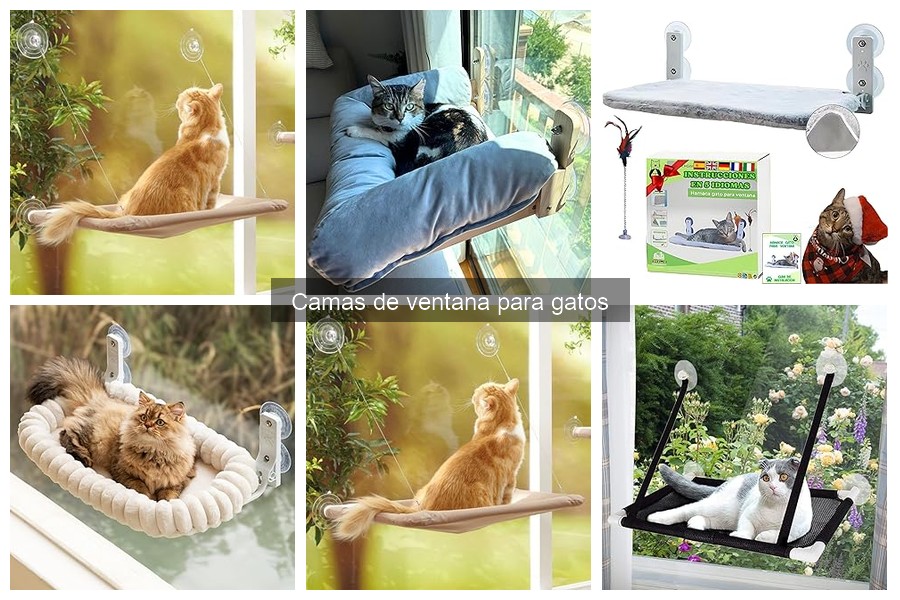 Precios y Dónde Comprar Camas de Ventana para Gatos