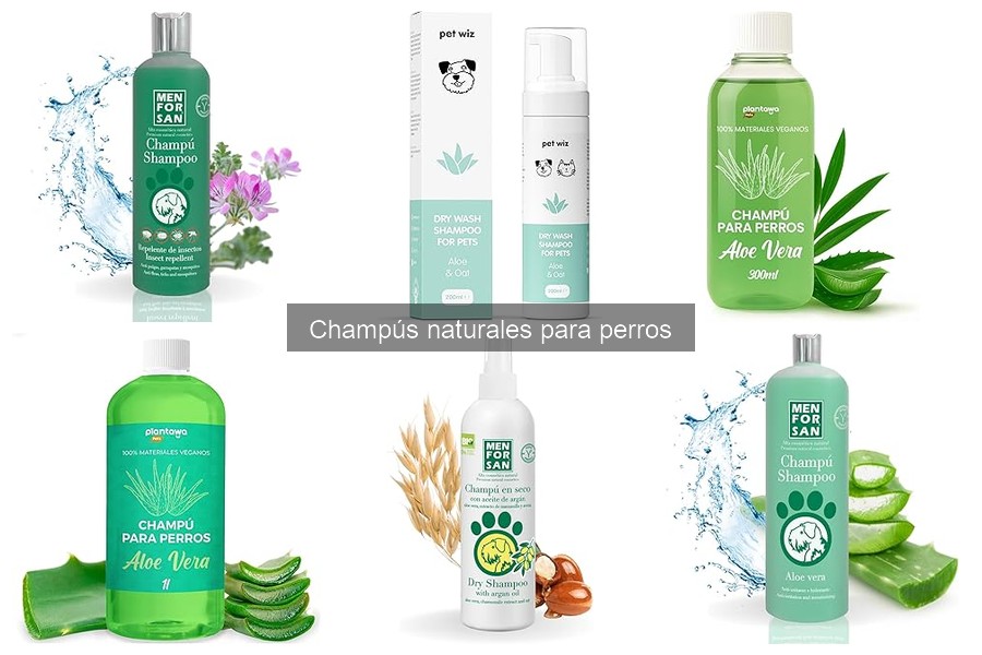 Precios y Dónde Comprar Champús Naturales para Perros