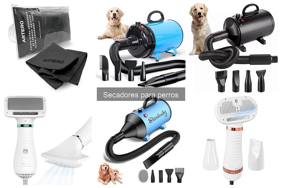 Precios y Dónde Comprar Secadores para Perros