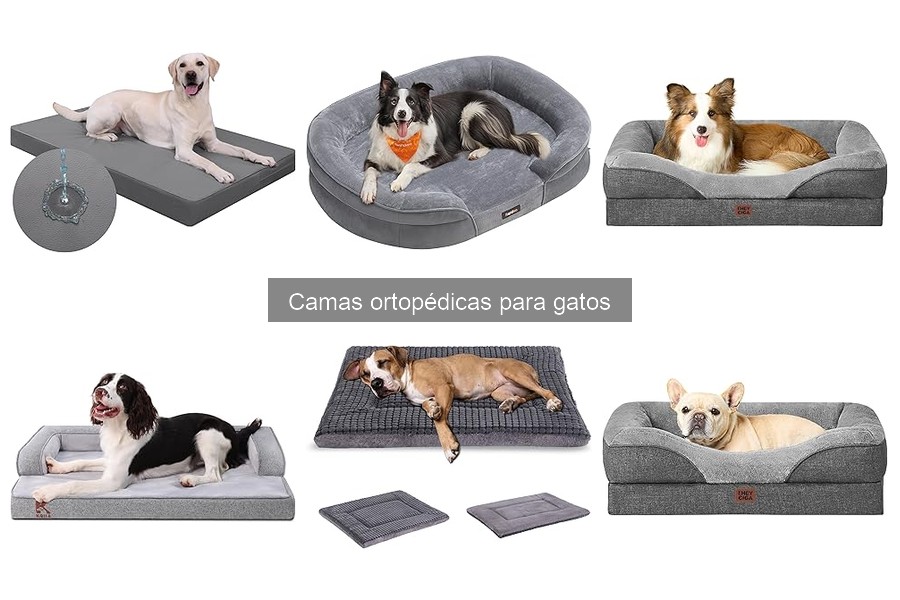 Precios y Mejores Tiendas para Camas Ortopédicas para Gatos