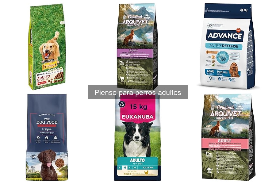 Precios y Opciones de Compra de Pienso para Perros Adultos