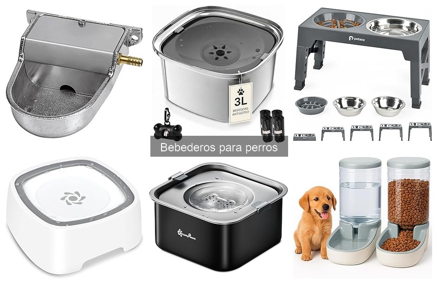 Preguntas Frecuentes sobre Bebederos para Perros