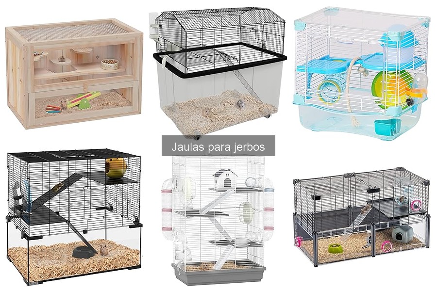 Preguntas frecuentes sobre jaulas para jerbos