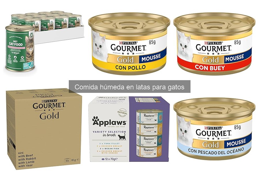Problemas al alimentar a gatos con comida húmeda enlatada