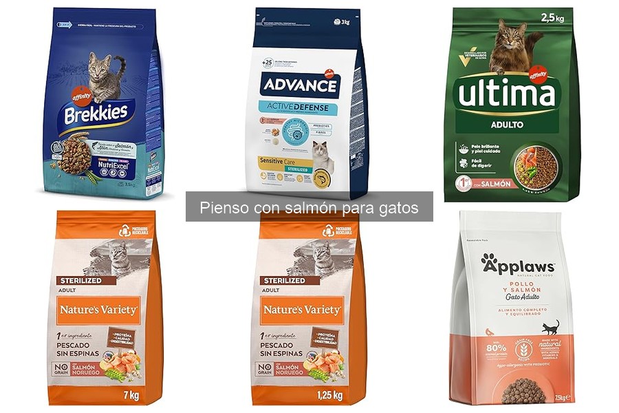 Problemas al cambiar a pienso de salmón para gatos